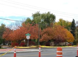 WARM SPRINGS STORAGE