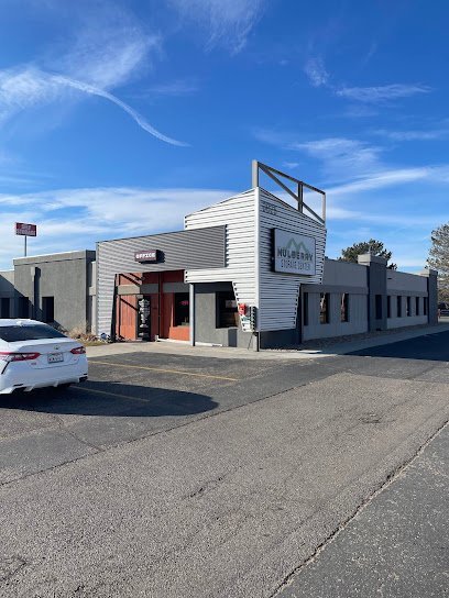 Mulberry Storage Center