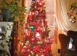 Northsquare Mini Storage