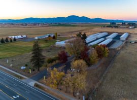 American Universal Storage