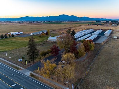 American Universal Storage