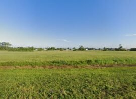 Damary Gonzalez Storage