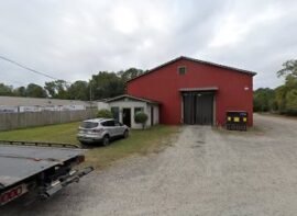 Go Mini’s Savannah